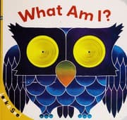 Tapa de What am I?