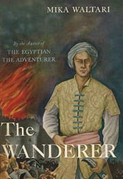 Tapa de The Wanderer