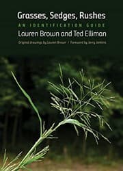 Tapa de Grasses, Sedges, Rushes