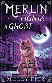Tapa de Merlin Fights a Ghost