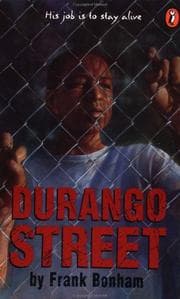 Tapa de Durango Street