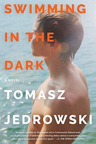 Tapa de Swimming in the Dark