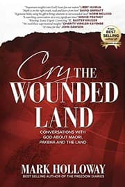 Tapa de Cry the Wounded Land