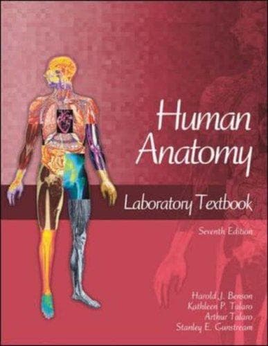 Tapa de Human anatomy