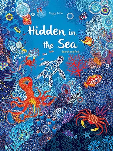 Tapa de Hidden in the Sea