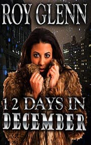 Tapa de 12 Day's In December