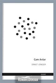 Tapa de Cam Arilar
