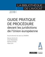 Tapa de GUIDE PRATIQUE DE PROCEDURE DEVANT LES JURIDICTIONS DE L UNION EUROPENNE
