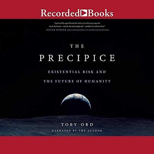 Tapa de The Precipice