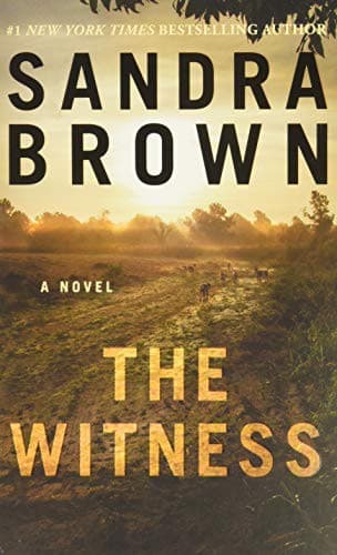 Tapa de The Witness