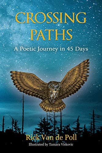 Tapa de Crossing Paths
