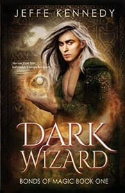 Tapa de Dark Wizard