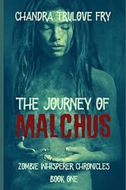 Tapa de The Journey of Malchus