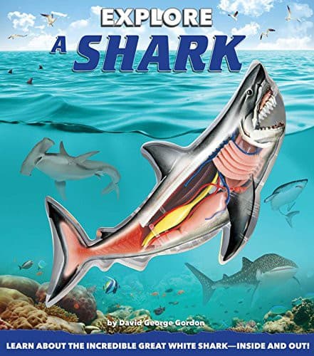 Tapa de Explore a Shark