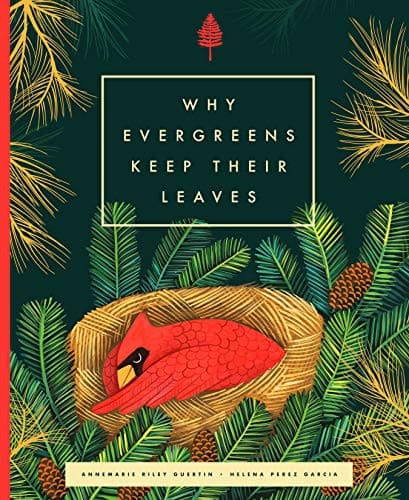Tapa de Why Evergreens Keep Their Leaves
