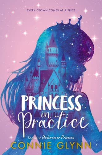 Tapa de Princess in Practice