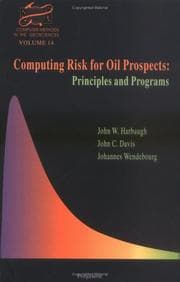 Tapa de Computing risk for oil prospects
