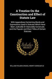 Tapa de A Treatise on the Construction and Effect of Statute Law