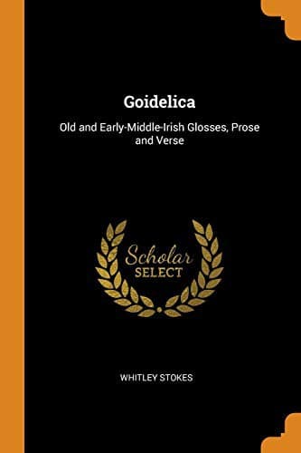 Tapa de Goidelica