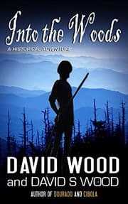 Tapa de Into the Woods