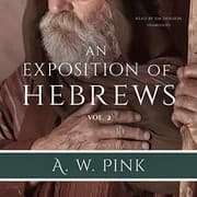 Tapa de An Exposition of Hebrews