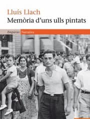 Tapa de Memòria d'uns ulls pintats