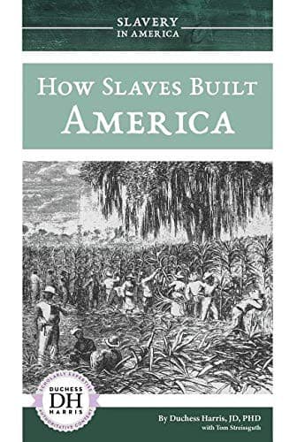 Tapa de How Slaves Built America