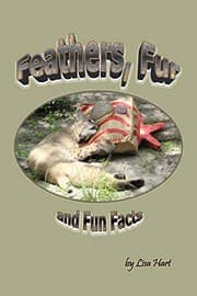 Tapa de Feathers, Fur and Fun Facts