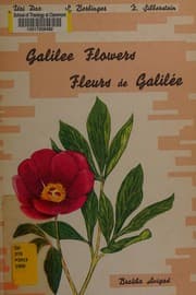 Tapa de Galilee flowers; thirty wild flowers