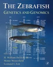 Tapa de Zebrafish