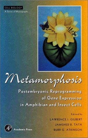 Tapa de Metamorphosis