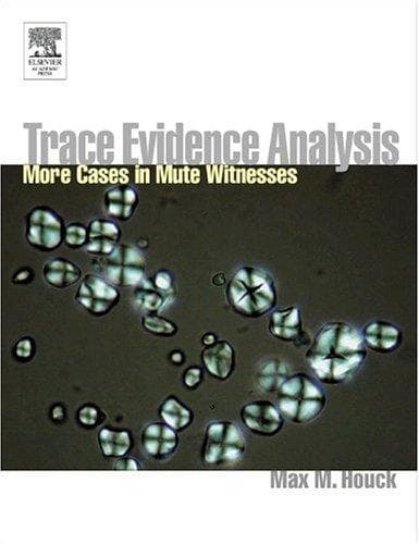 Tapa de Mute Witnesses
