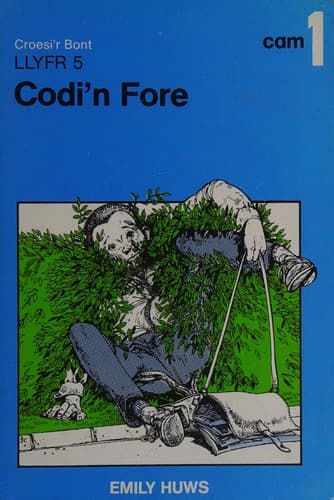 Tapa de Codi'n fore
