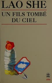 Tapa de Un Fils Tombe Du Ciel