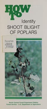 Tapa de How to identify shoot blight of poplars
