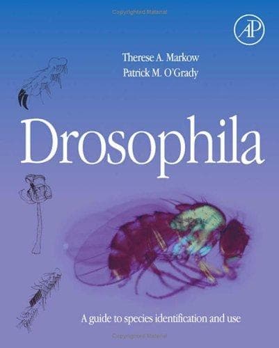 Tapa de Drosophila