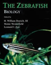 Tapa de The Zebrafish