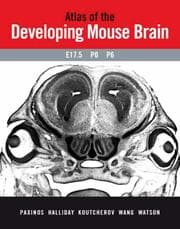 Tapa de Atlas of the developing mouse brain at E17.5, P0 and P6