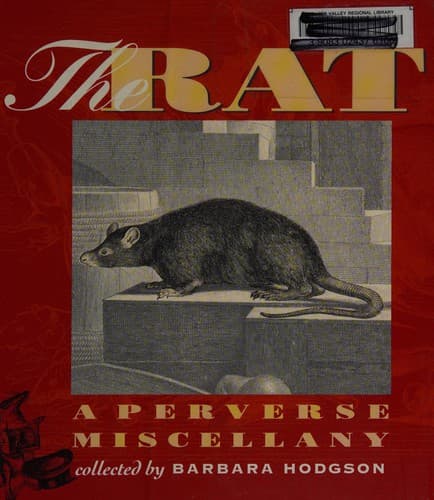 Tapa de The rat