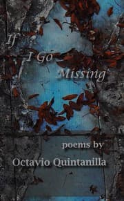 Tapa de If I go missing