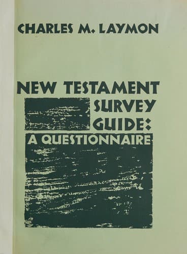 Tapa de New Testament survey guide