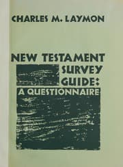 Tapa de New Testament survey guide