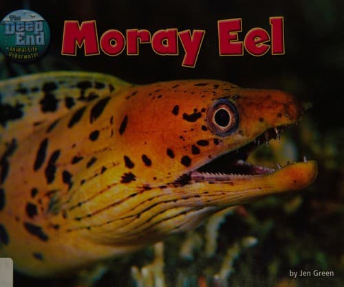 Tapa de Moray Eel