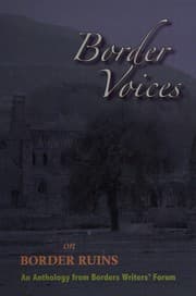 Tapa de Border voices on border ruins
