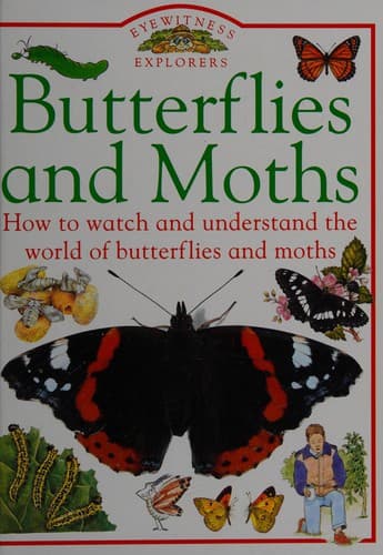 Tapa de Butterflies and Moths