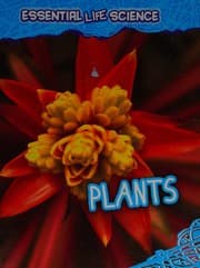 Tapa de Plants