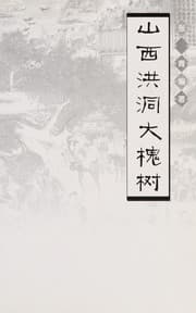 Tapa de Shan xi hong dong da huai shu