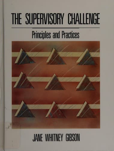 Tapa de The supervisory challenge