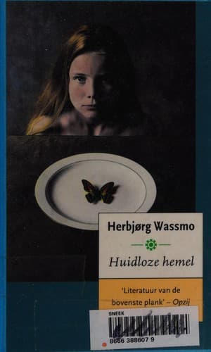Tapa de Huidloze hemel