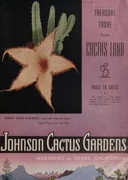 Tapa de Treasure trove from cactus land